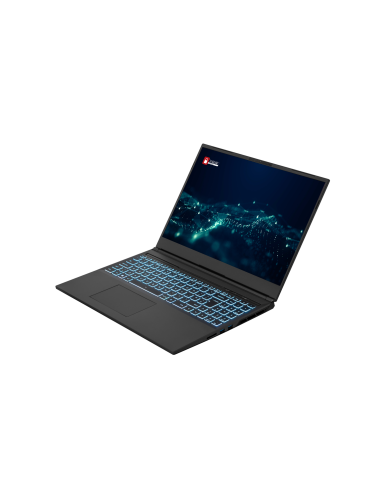 PCI Dominant pro AMD 16"