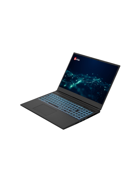 PCI Dominant pro AMD 16"