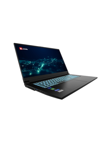 PCI Maverick pro 17,3"