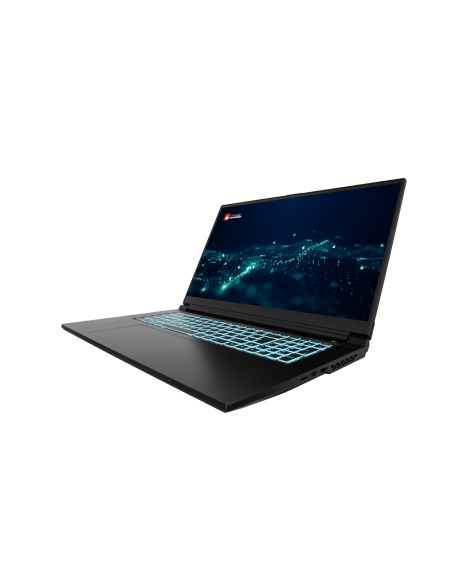 PCI Maverick pro 17,3"