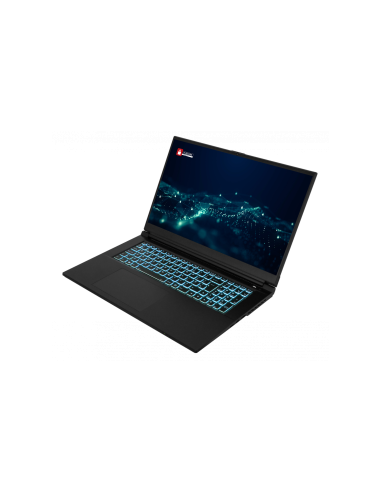 PCI Maverick pro 17,3"