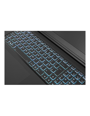 PCI Maverick pro 17,3"