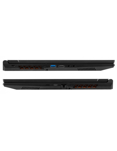 PCI Maverick pro 17,3"