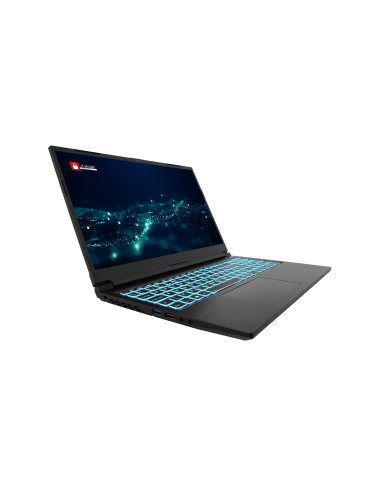 PCI Maverick  pro 15,6"