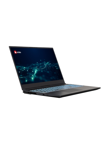 PCI Dominant pro 16"