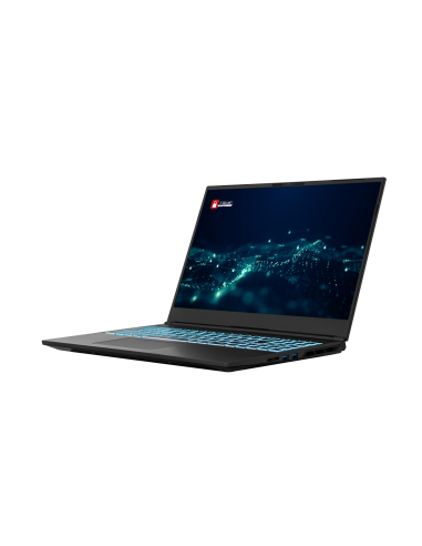 PCI Dominant pro 16"