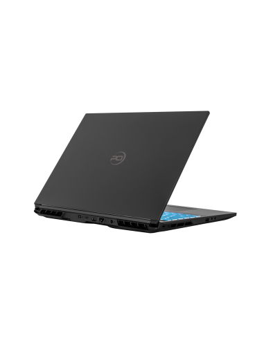 PCI Dominant pro 16"