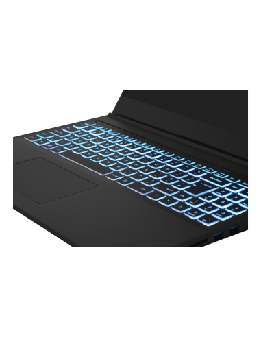 PCI Dominant pro 16"